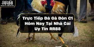 truc-tiep-da-ga-don-c1-hom-nay-