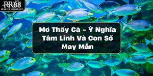 mo-thay-ca